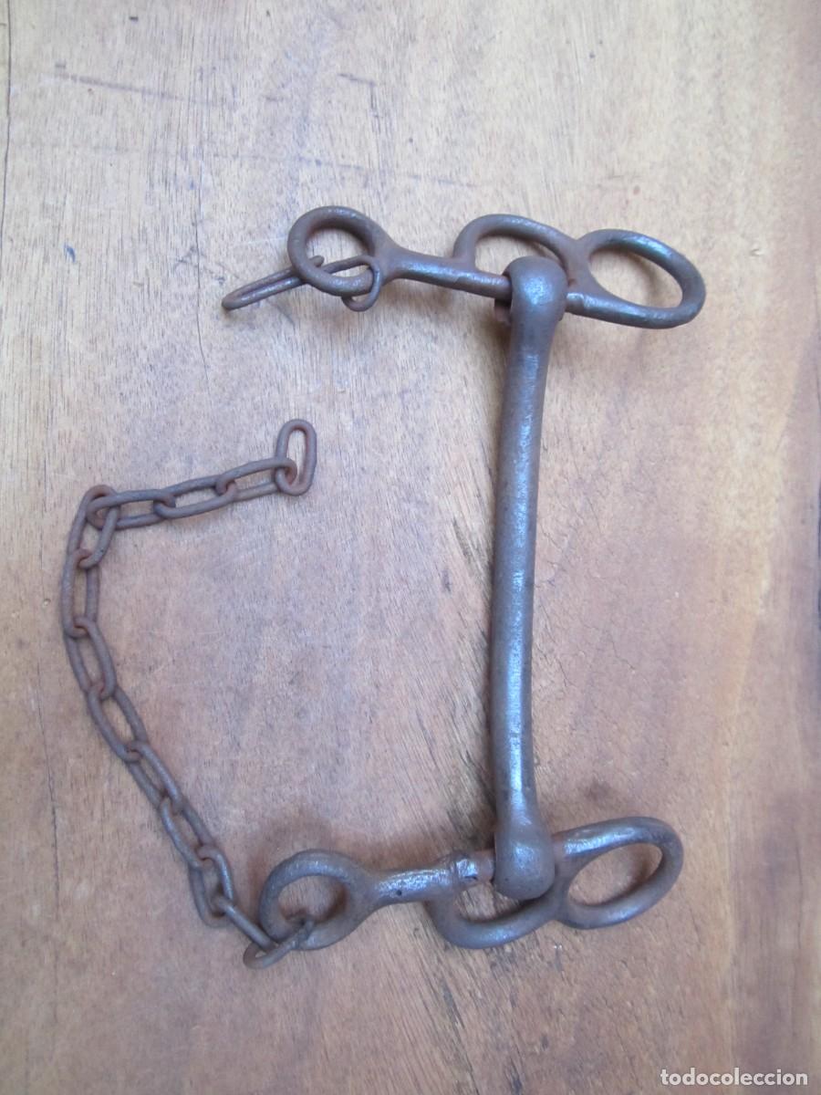 Antig&uuml;edades: Bocado caballo antiguo de forja, siglo XIX. - Foto 5
