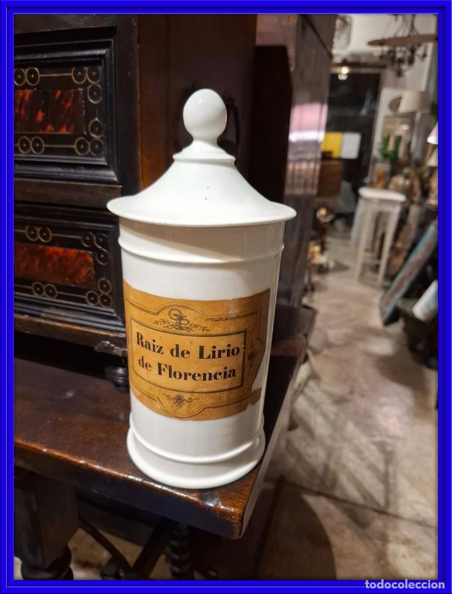 Antig&uuml;edades: TARRO O BOTE DE FARMACIA DE PORCELANA. RAIZ DE LIRIO DE FLORENCIA