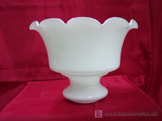 Antiques: TULIPA PAMELA  BLANCA