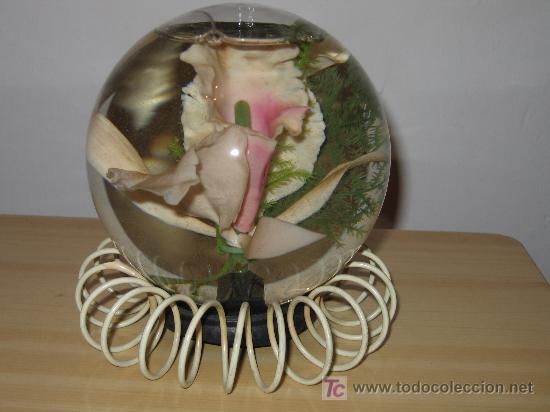 Oggetti Antichi: BOLA DE CRISTAL CON AGUA Y FLORES EN SU INTERIOR