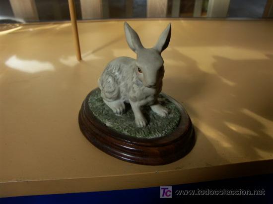 Antig&uuml;edades: bonito conejo blanco