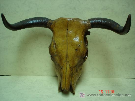 Antig&uuml;edades: CABEZA DE RES - Foto 1