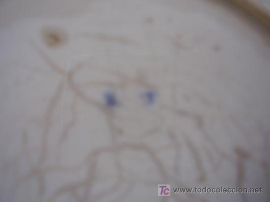 Antig&uuml;edades: Plato porcelana - Foto 5