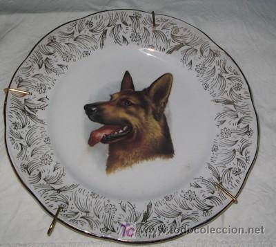 Antig&uuml;edades: PLATO PARA COLGAR CHINA OPACA DE SANTANDER - Foto 1