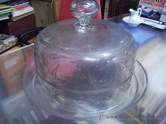 Antig&uuml;edades: antigua quesera de cristal tallada ala rueda - Foto 1