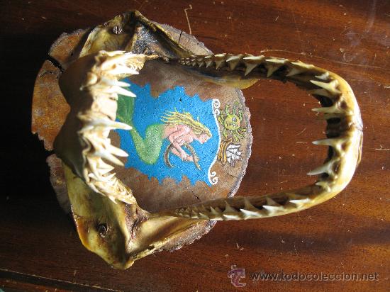 Antiquit&auml;ten: ANTIGUA METOPA MARINERA CON MANDIBULA DE TIBURON