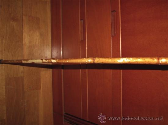 Antig&uuml;edades: BASTON ANTIGUO DE CA&Ntilde;A DE BAMBU. UNA NUEZ COMO POMO - Foto 3