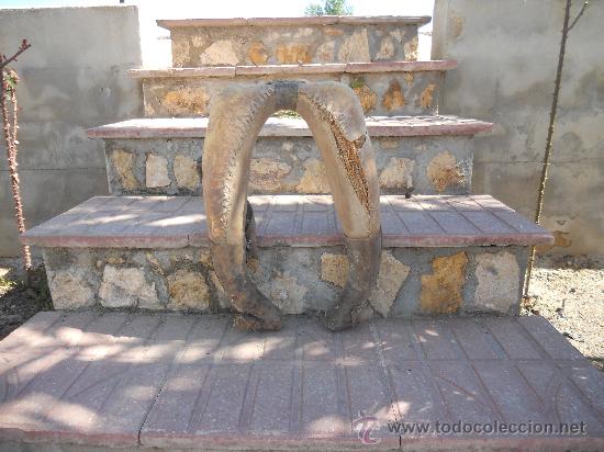 Antig&uuml;edades: APERO MUY ANTIGUO PARA LAS MULA. - Foto 1