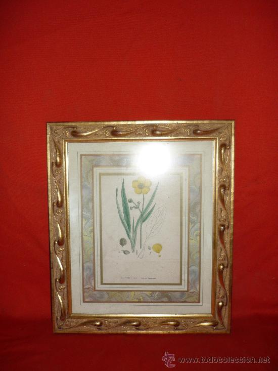 Antig&uuml;edades: CUADRO DORADO - Foto 1