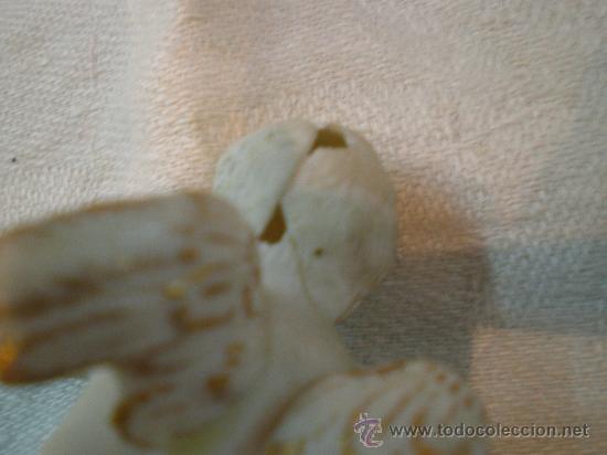 Antig&uuml;edades: angel de biscuit - Foto 2