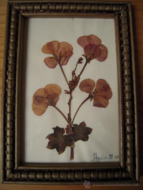 Antig&uuml;edades: Cuadrito de flor seca - Foto 1