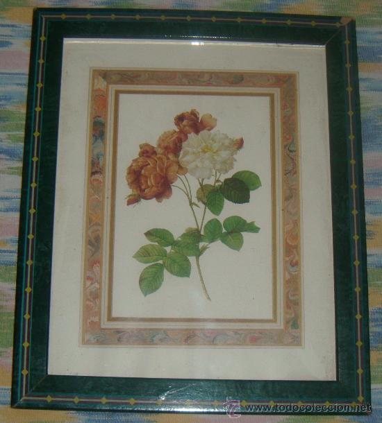 Antig&uuml;edades: lamina floral enmarcada - Foto 1