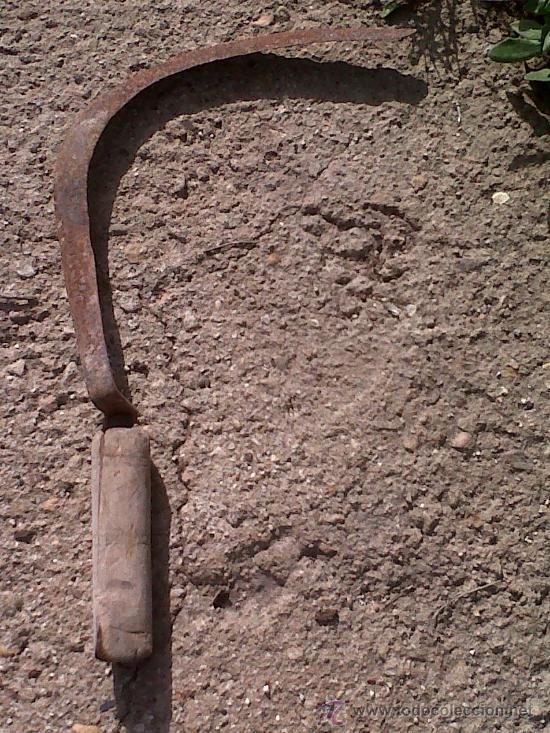 Antig&uuml;edades: ANTIGUA HOZ, UTILIZADA PARA LA SIEGA - Foto 3