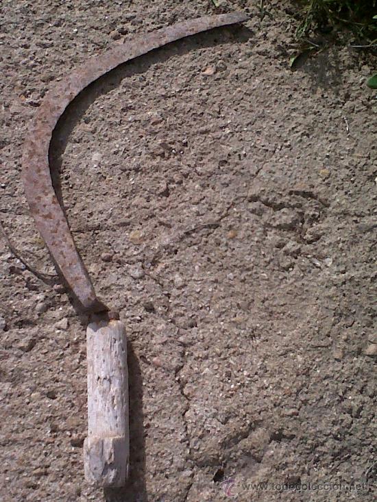 Antig&uuml;edades: ANTIGUA HOZ, UTILIZADA PARA LA SIEGA - Foto 3