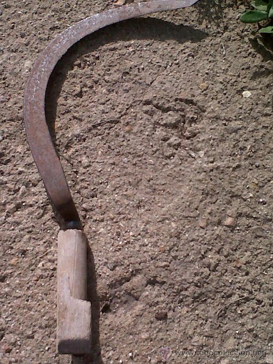 Antig&uuml;edades: ANTIGUA HOZ, UTILIZADA PARA LA SIEGA - Foto 3