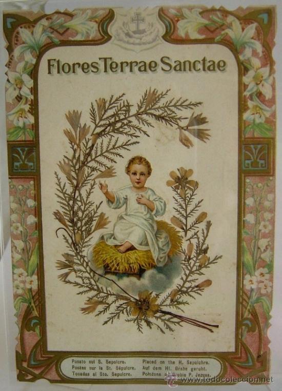Antig&uuml;edades: Flores de tierra santa - Foto 1