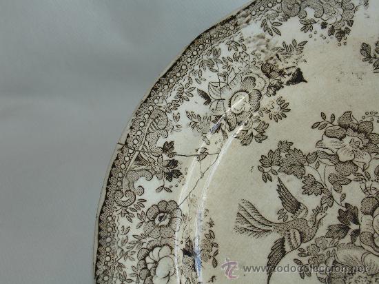 Antig&uuml;edades: PLATO DE VAJILLA - PRIMAVESI & SONS - CARDIFF - Foto 2