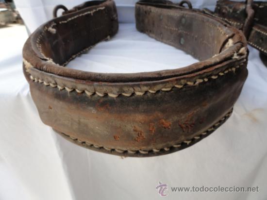 Antig&uuml;edades: PAREJA DE ENGANCHES PARA CABALLOS. - Foto 4
