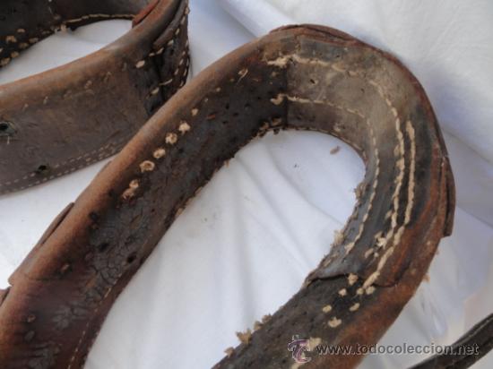 Antig&uuml;edades: PAREJA DE ENGANCHES PARA CABALLOS. - Foto 6
