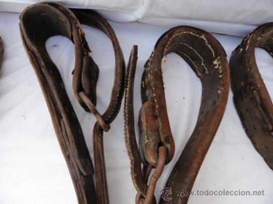 Antig&uuml;edades: PAREJA DE ENGANCHES PARA CABALLOS. - Foto 8