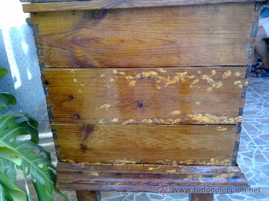 Antig&uuml;edades: antiquisima arca de madera - Foto 6