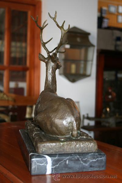 Antig&uuml;edades: CIERVO EN BRONCE,1900 REF.5277 - Foto 5