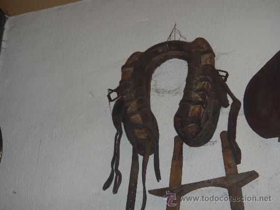 Antig&uuml;edades: COLLERA PARA ARRASTRE ANIMAL - Foto 1