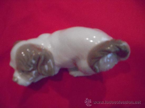 Antig&uuml;edades: perro de nao lladro - Foto 2