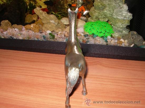 Antig&uuml;edades: Caballo en bronce - Foto 2