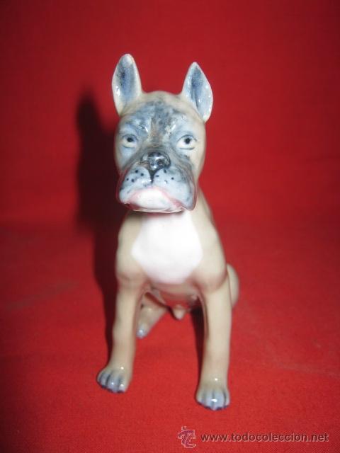 Antiquit&auml;ten: Perro en porcelana, trabajo de buena calidad.