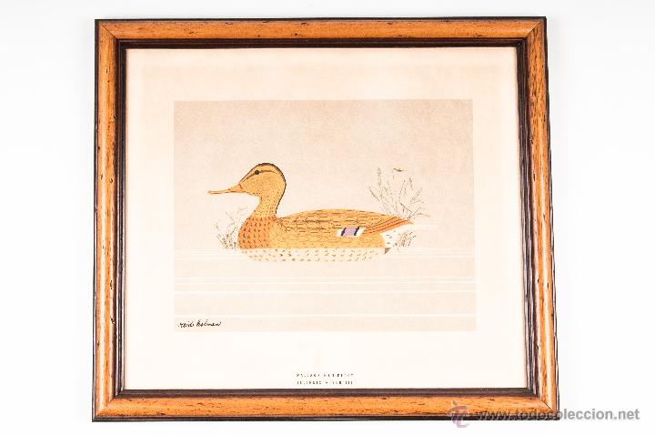Antig&uuml;edades: CUADRO CON LAMINA DE PATO - FIRMADO - Foto 1