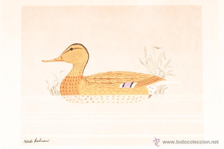 Antig&uuml;edades: CUADRO CON LAMINA DE PATO - FIRMADO - Foto 2