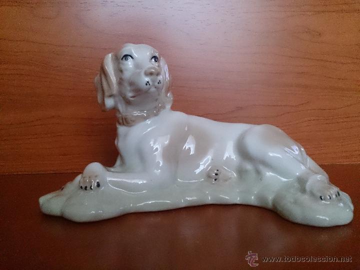 Antig&uuml;edades: Figura antigua perro raza pointer en porcelana - Foto 1