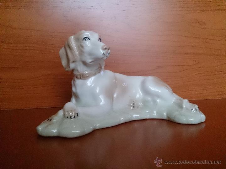 Antig&uuml;edades: Figura antigua perro raza pointer en porcelana - Foto 2