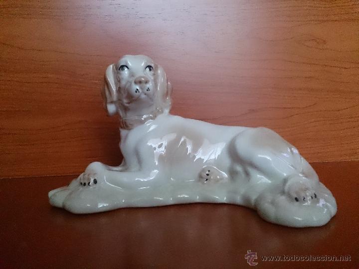 Antig&uuml;edades: Figura antigua perro raza pointer en porcelana - Foto 3