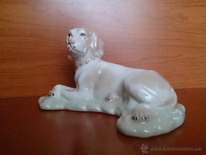 Antig&uuml;edades: Figura antigua perro raza pointer en porcelana - Foto 4
