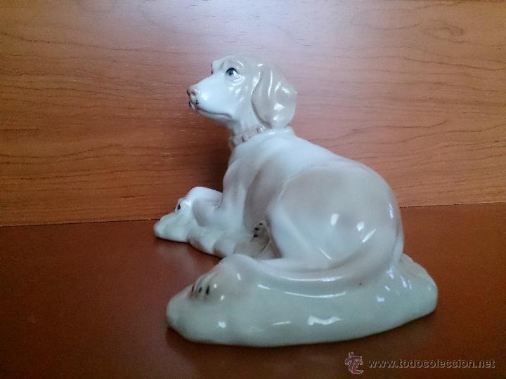 Antig&uuml;edades: Figura antigua perro raza pointer en porcelana - Foto 5