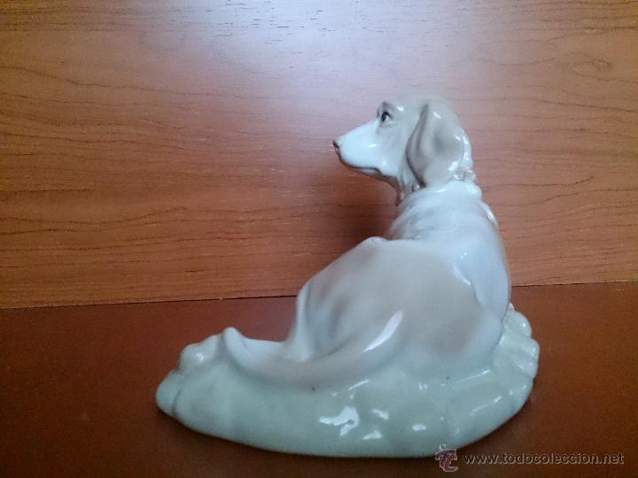 Antig&uuml;edades: Figura antigua perro raza pointer en porcelana - Foto 6
