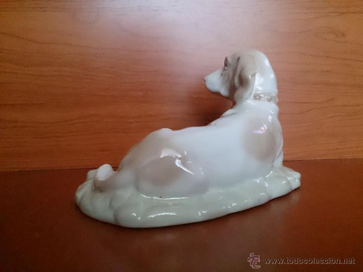 Antig&uuml;edades: Figura antigua perro raza pointer en porcelana - Foto 7