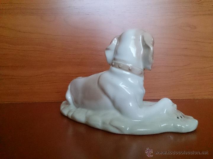 Antig&uuml;edades: Figura antigua perro raza pointer en porcelana - Foto 9