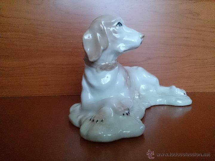 Antig&uuml;edades: Figura antigua perro raza pointer en porcelana - Foto 11
