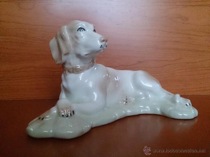 Antig&uuml;edades: Figura antigua perro raza pointer en porcelana - Foto 12