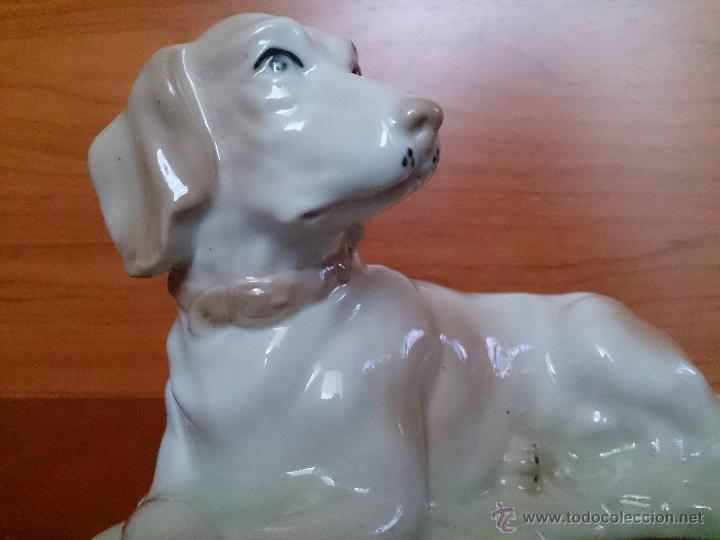 Antig&uuml;edades: Figura antigua perro raza pointer en porcelana - Foto 13