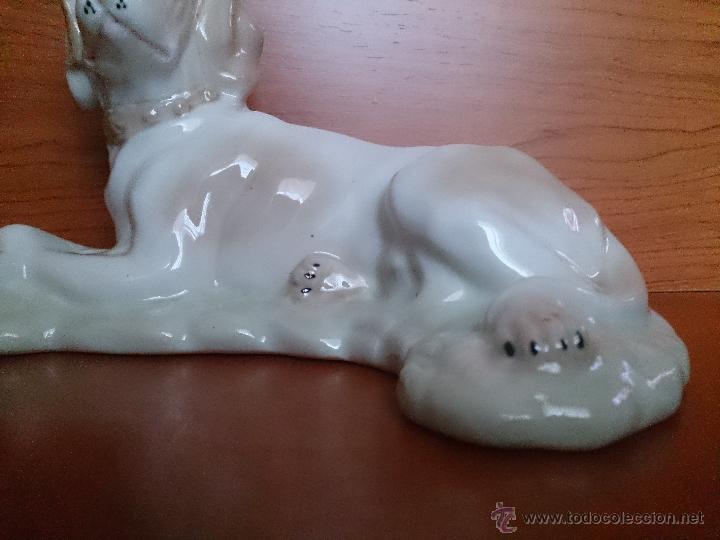 Antig&uuml;edades: Figura antigua perro raza pointer en porcelana - Foto 14