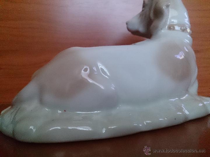Antig&uuml;edades: Figura antigua perro raza pointer en porcelana - Foto 15
