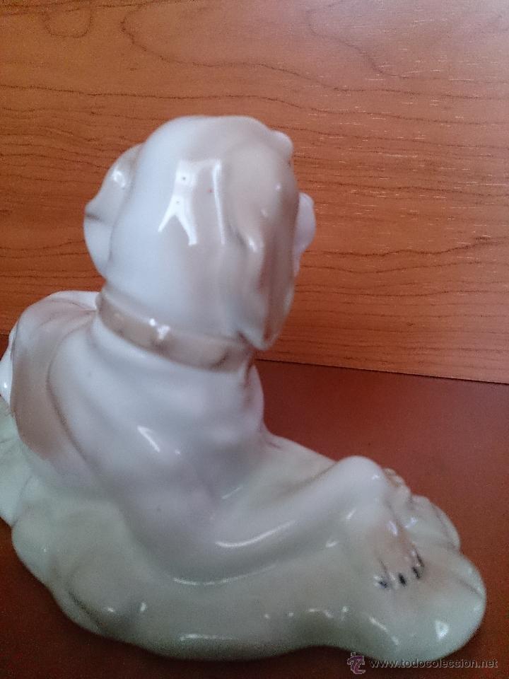 Antig&uuml;edades: Figura antigua perro raza pointer en porcelana - Foto 16