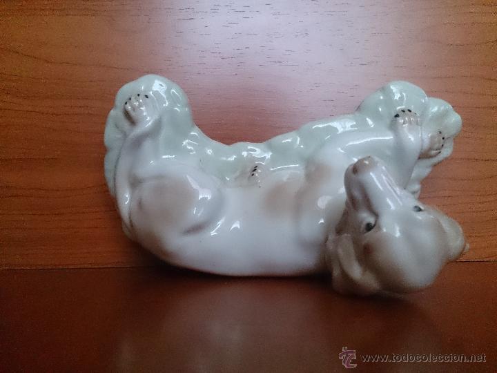 Antig&uuml;edades: Figura antigua perro raza pointer en porcelana - Foto 17