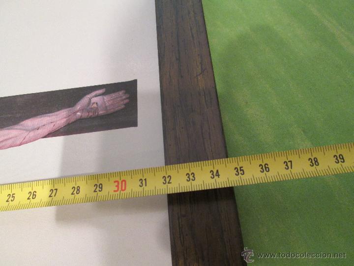 Antig&uuml;edades: CUADRO DEL SANT&Iacute;SIMO CRISTO DE CABRERA ( SALAMANCA ) EN MARCADO EN MADERA - Foto 2