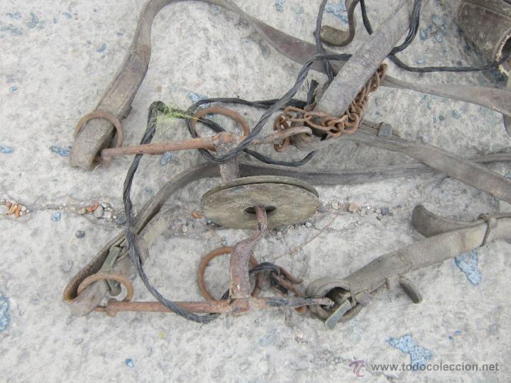 Antig&uuml;edades: BOCAO DE CABALLO ANTIGUO Y  CORREAS - Foto 1