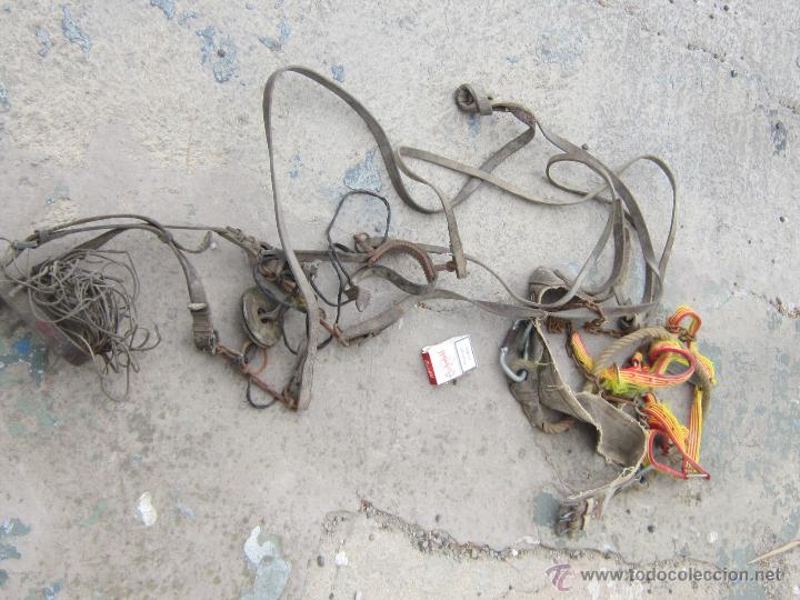 Antig&uuml;edades: BOCAO DE CABALLO ANTIGUO Y  CORREAS - Foto 2